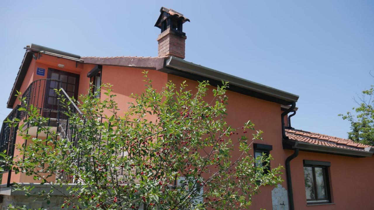Apartment Kornarija Buje Dış mekan fotoğraf
