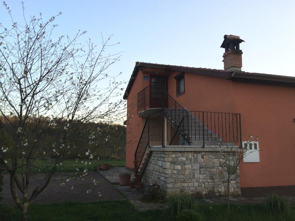 Apartment Kornarija Buje Dış mekan fotoğraf